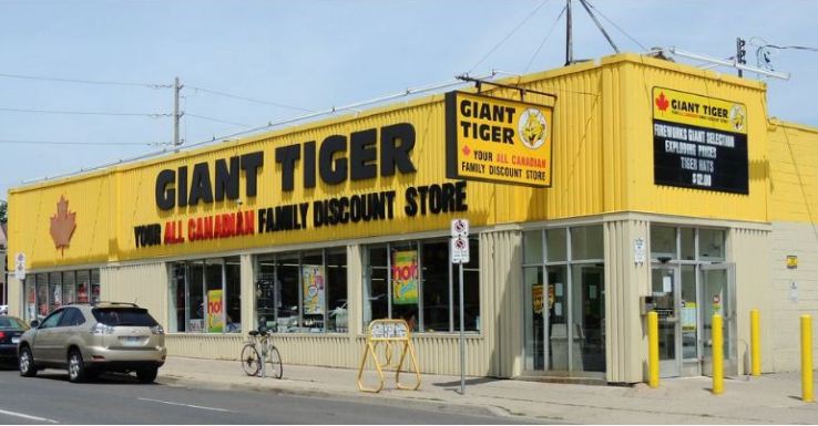 Giant Tiger Survey