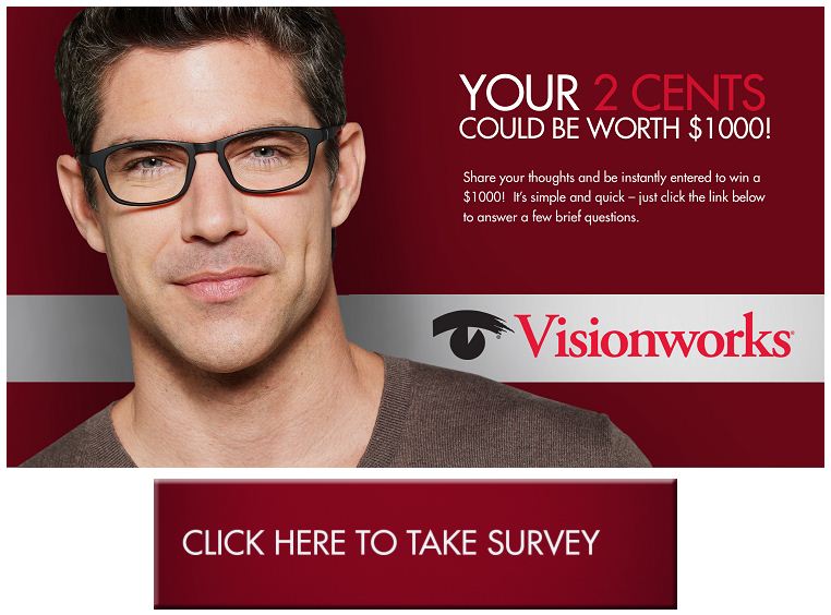 Visionworks Survey